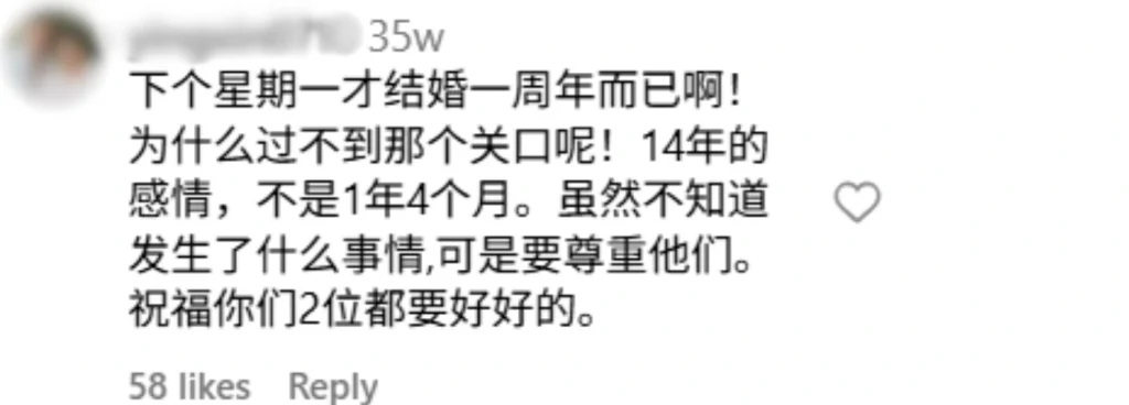 Instagram评论区截图，网友表示尊重Tomato和Dodo婚后一年分开的决定