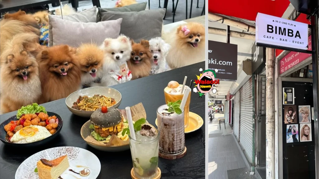 10大petfriendly（bimba）