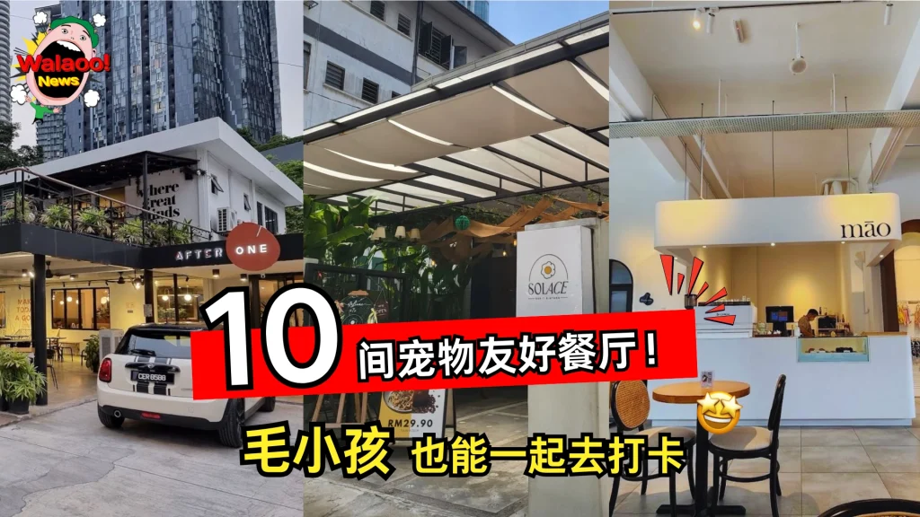 10大petfriendly（news cover）