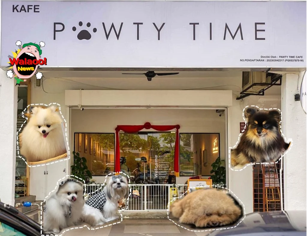 10大petfriendly（pawtytime）