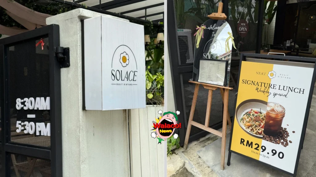 10大petfriendly（solace）
