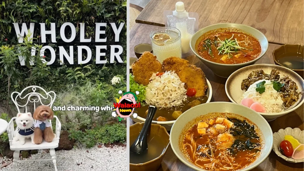 10大petfriendly（wholey）