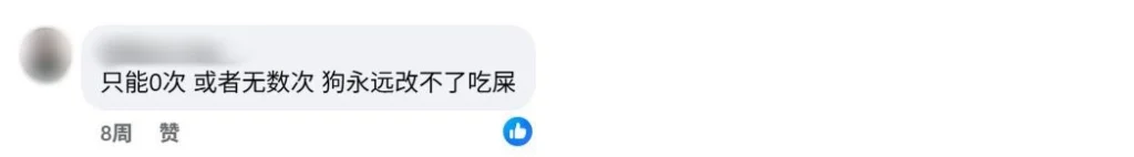 Jolyn被家暴（网友图2）