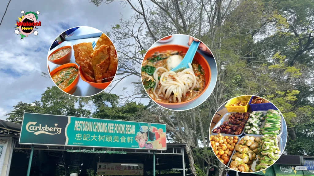 ipoh芽菜鸡（大头树）