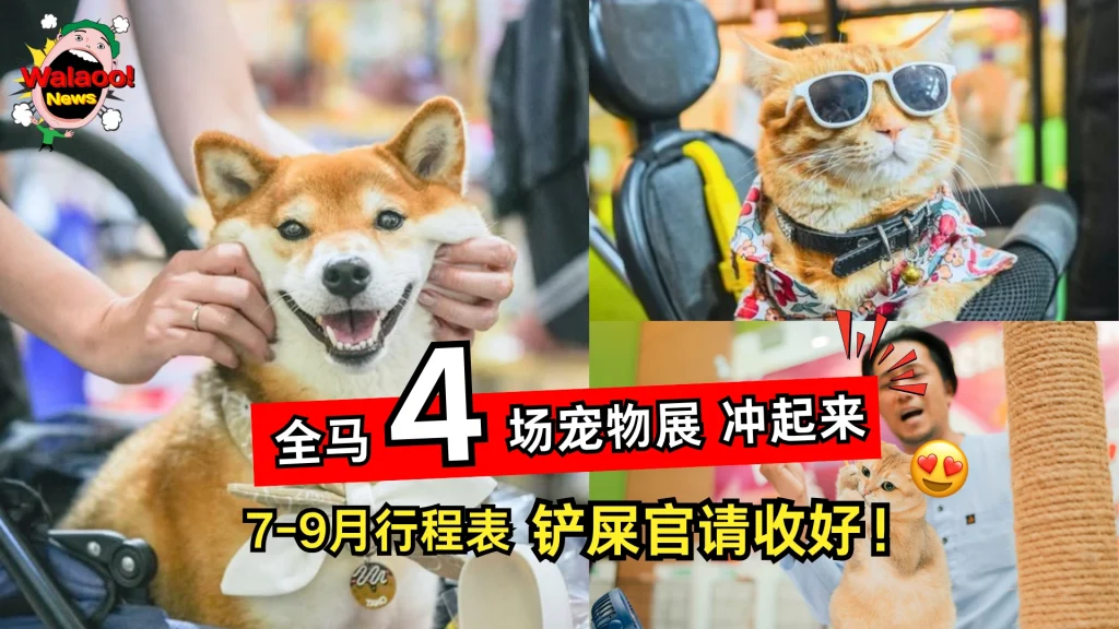 吃喝玩乐 - All Pics