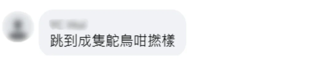 大展鸿图-6