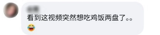 鸡饭 6