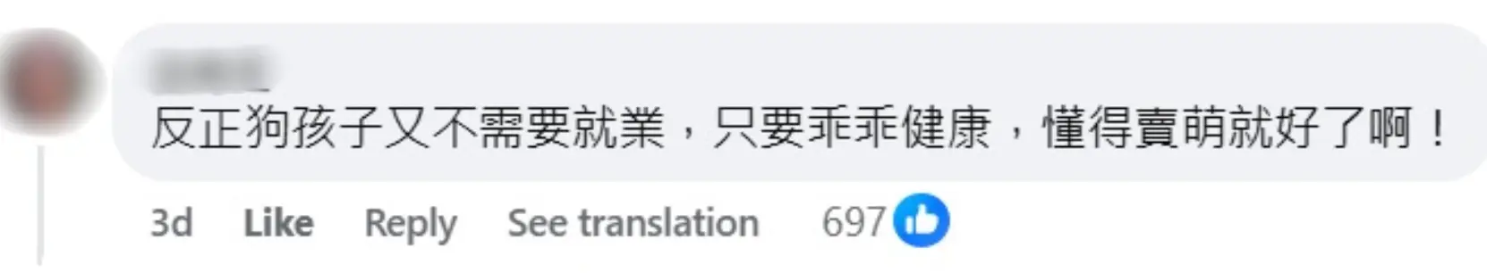 Facebook 评论区截图显示，网友留言称狗狗只要乖巧健康会卖萌就足够