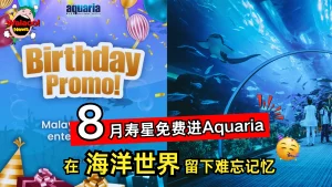 🎂8月寿星免费进Aquaria KLCC！专属生日福利让你沉浸在海洋世界，留下难忘的生日记忆🎉