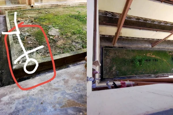 宿舍楼下草地被红圈标记出关键位置，另一张俯拍整片长方形草地及周围环境。
