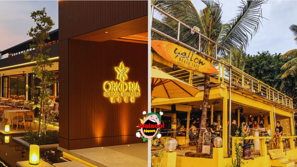 左图为 Orkid Ria 海鲜餐厅夜间外观，右图为 Yellow Beach Cafe 沙滩咖啡厅晚餐时段人潮聚集
