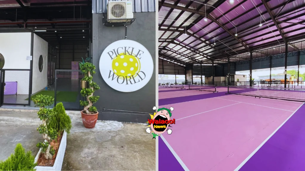pickleball 2