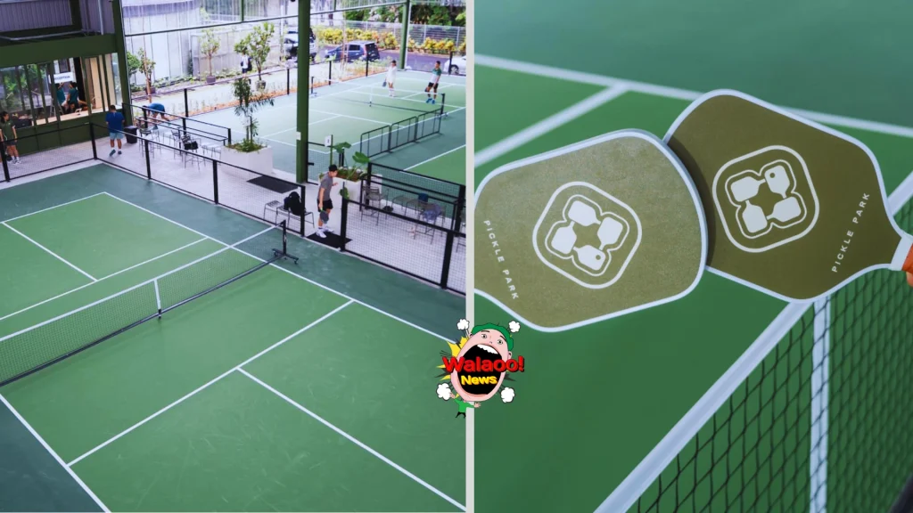 pickleball 3