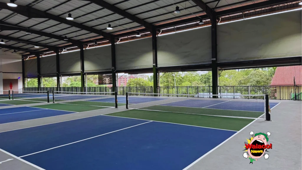 pickleball 5