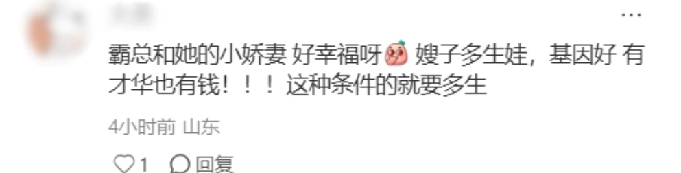 小红书评论区截图，网友评论霸总与小娇妻幸福生活应多生孩子