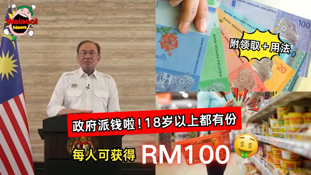 sara rm100 guide