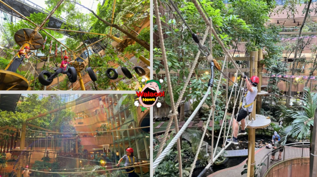 戴安全装备的旅客，在Treetop Adventure挑战高空绳索