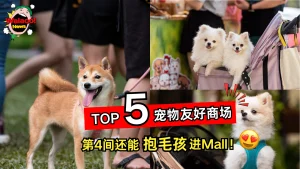 TOP 5 宠物友好商场你去过几间？第4间竟然还能抱毛孩进Mall！