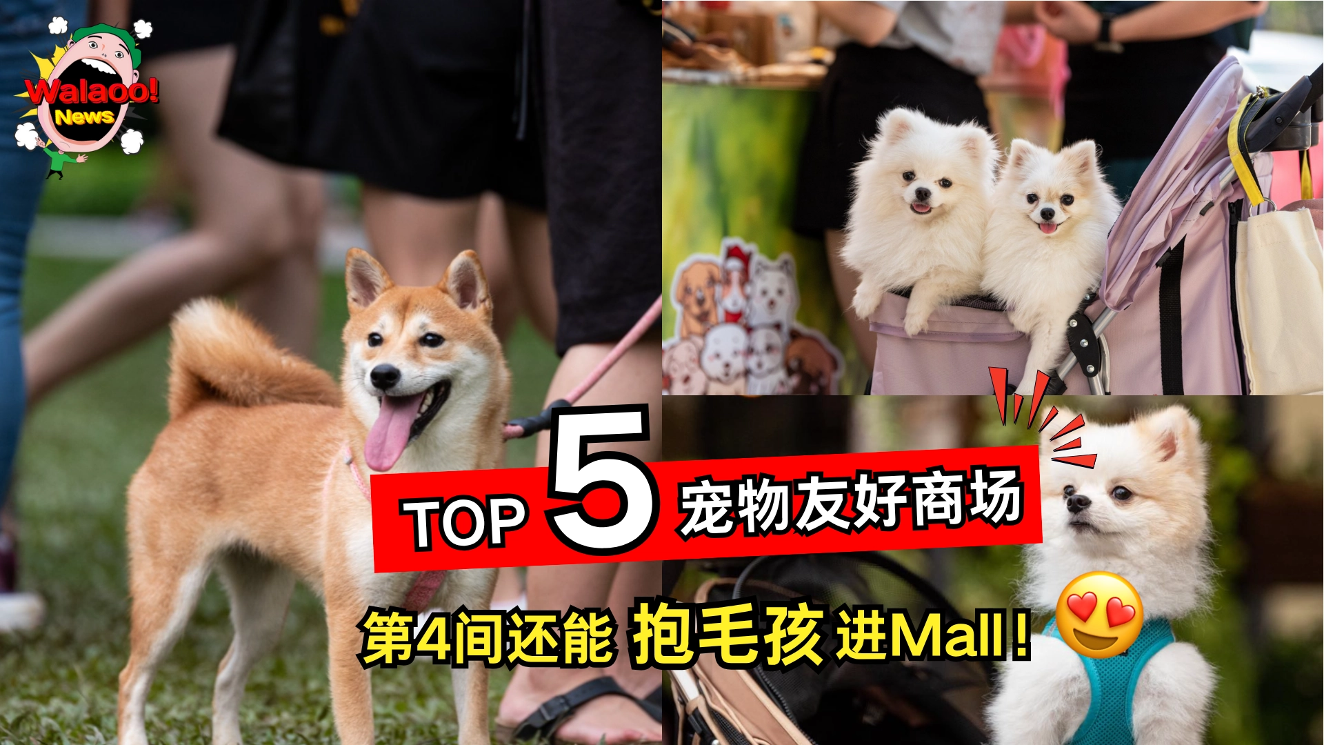 top 5 pet friendly malls