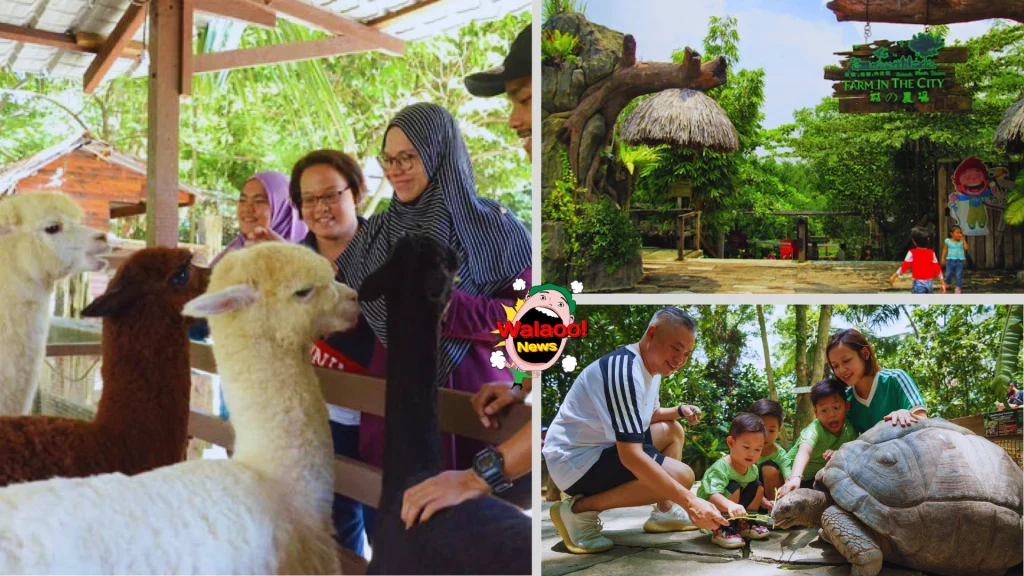 top 6 family kids activities 1