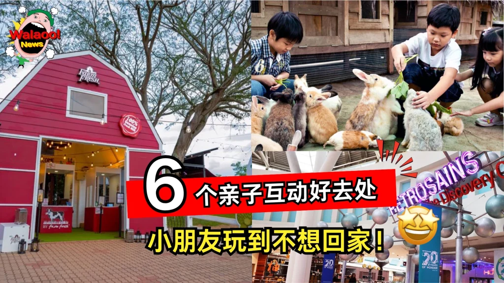 top 6 family kids activities