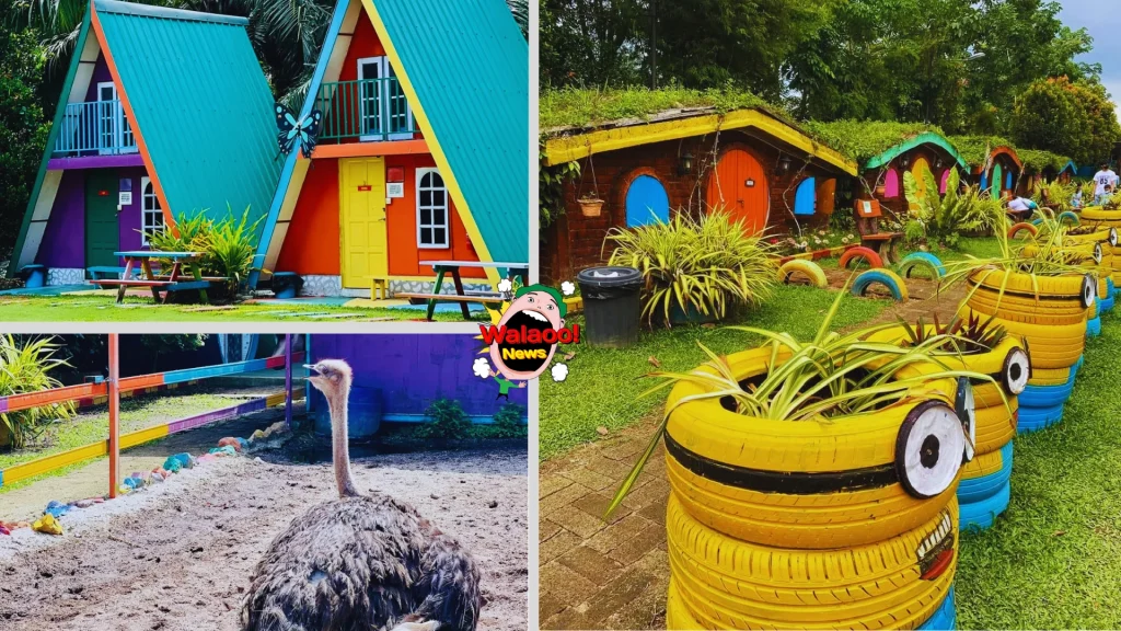 top 6 family kids activities 4
