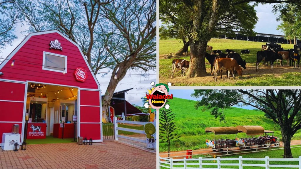 top 6 family kids activities 5