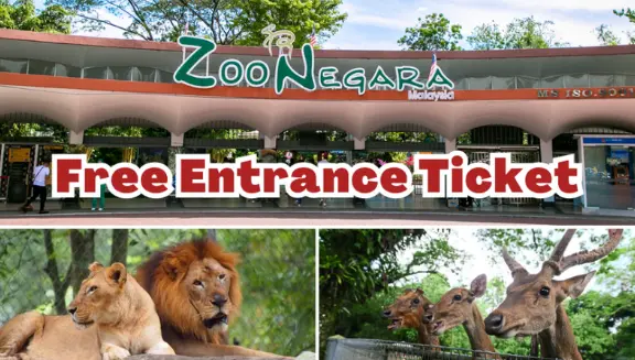 Zoo Negara 推出生日优惠，寿星可免费领取入门票畅游动物园