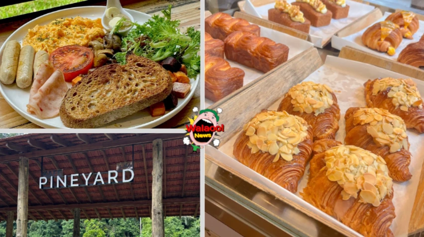Pineyard 云顶咖啡厅西式早餐与新鲜烘焙面包，环境自然惬意适合打卡