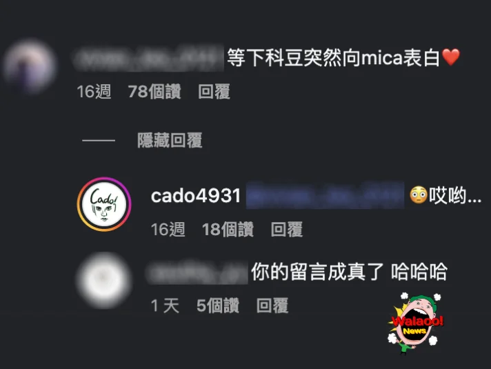 Instagram评论区截图，网友留言敲碗Cado向Mica表白，Cado亲自回复引发热议