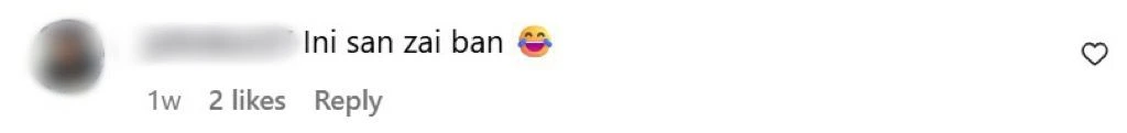 Instagram评论区截图，网友直言这是山寨版