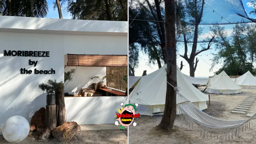 Moribreeze by the beach 海边露营营地，白色建筑搭配冷气帐篷与吊床