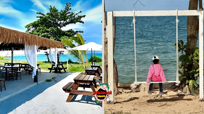 登嘉楼海边咖啡馆木质露天座位区，游客坐在白色秋千眺望大海。